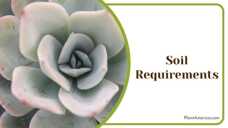 Tips for the Perfect Soil Mixture Plant America Tips for the Perfect Soil Mixture Plant America