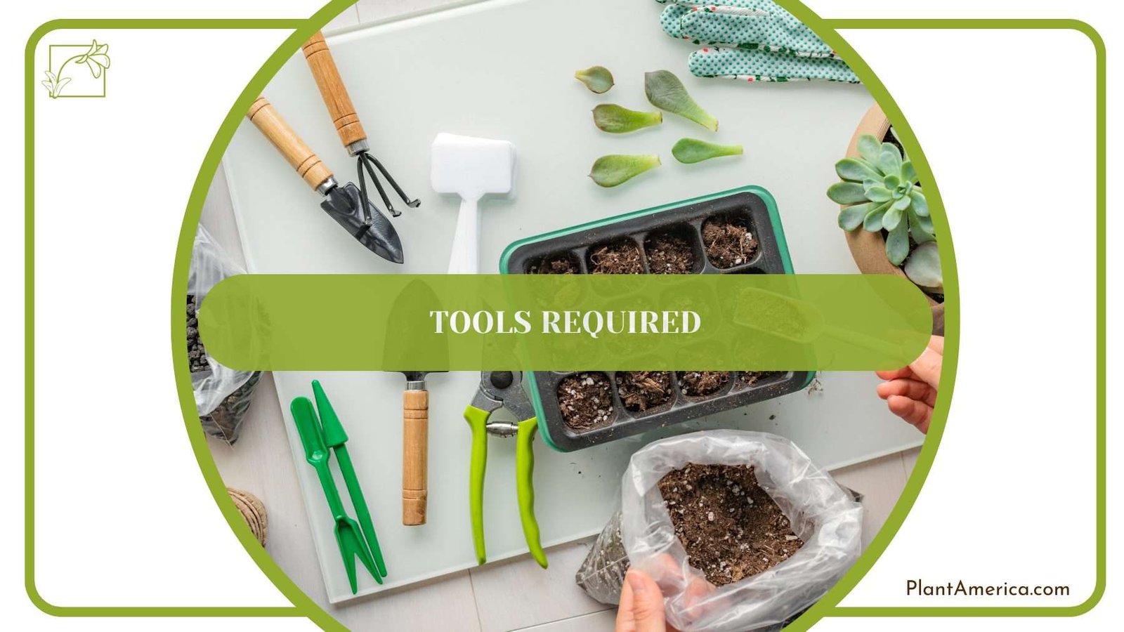 Tools Required for Propagation PlantAmerica 1 Tools Required for Propagation PlantAmerica 1