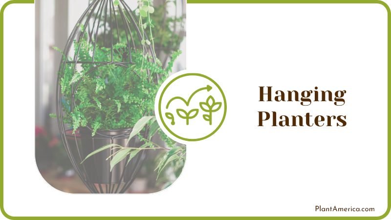 Upgrade Your Hanging Pots Plant America