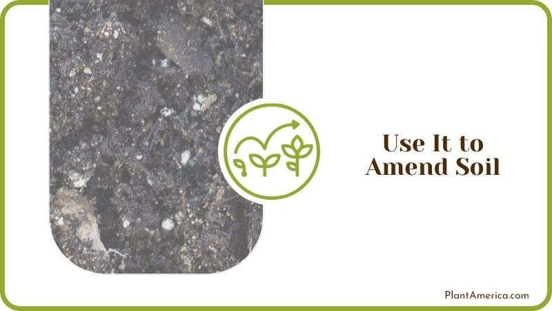 Use Eggshells to Amend Soil Plant America