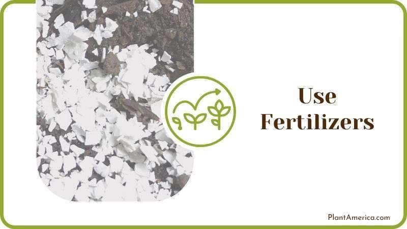 Use Fertilizers Plant America
