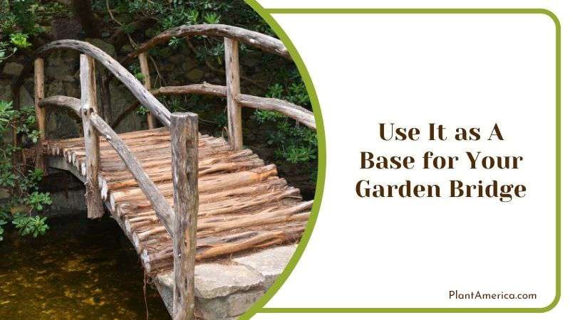 Use It as a Base for Your Garden Bridge PlantAmerica