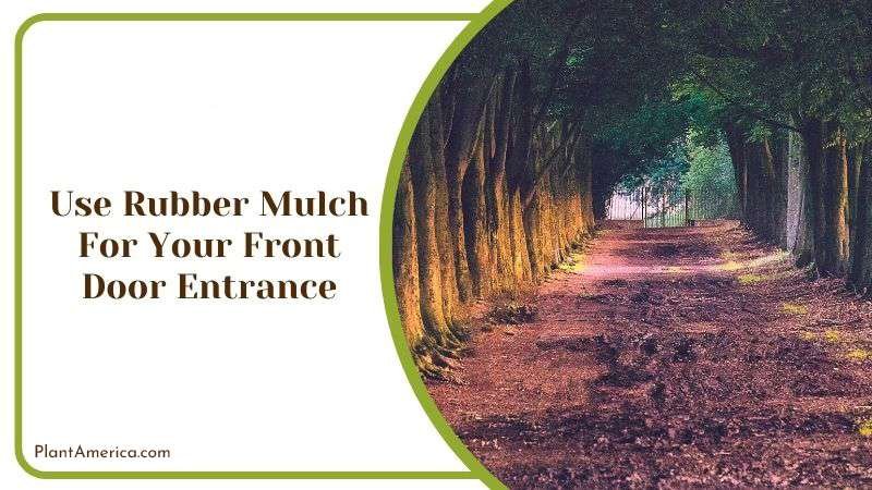 Use Rubber Mulch for Your Front Door Entrance PlantAmerica