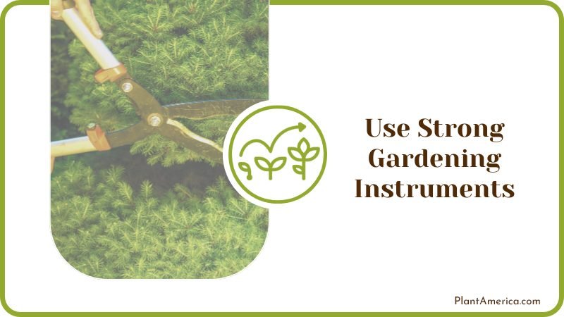 Use Strong Gardening Instruments PlantAmerica