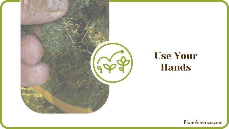 Use Your Hands Plant America Use Your Hands Plant America