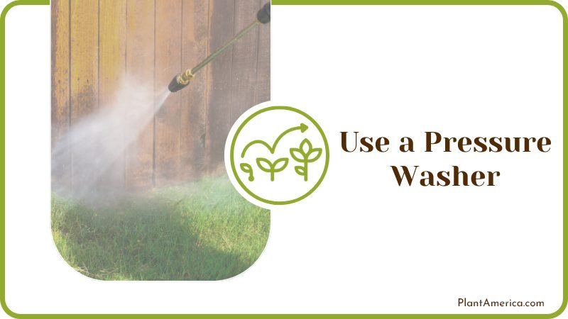 Use a Pressure Washer Plant America