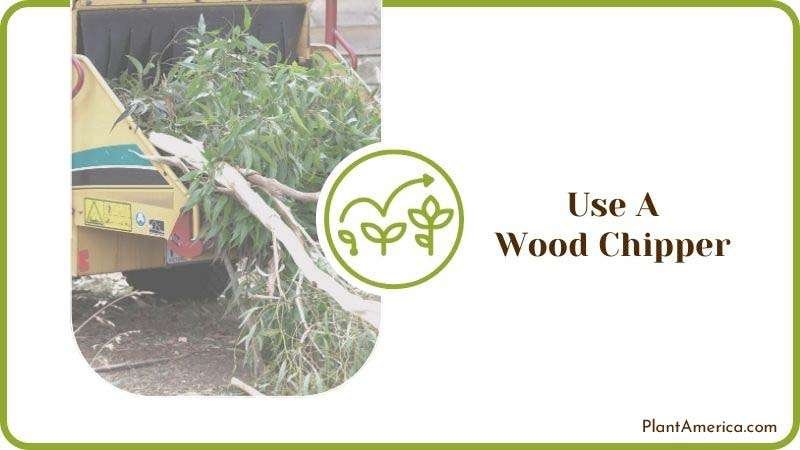 Use a Wood Chipper Plant America Use a Wood Chipper Plant America