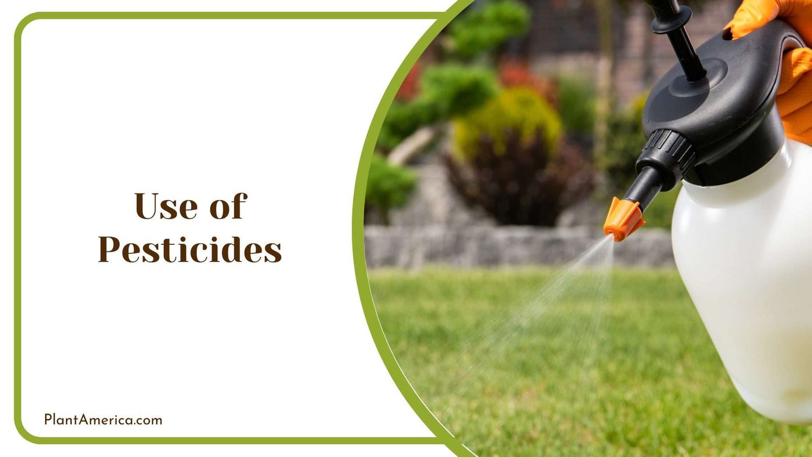 Use of Pesticides Plant America