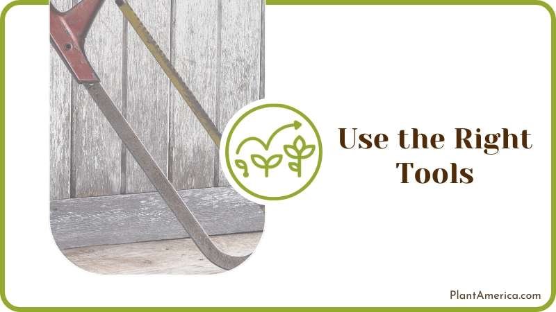 Use the Right Tools Plant America