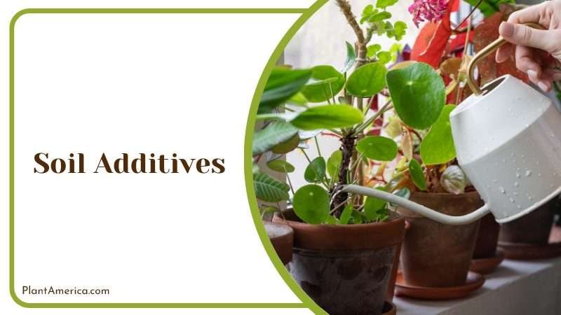 Use the right potting mix Plant America Use the right potting mix Plant America