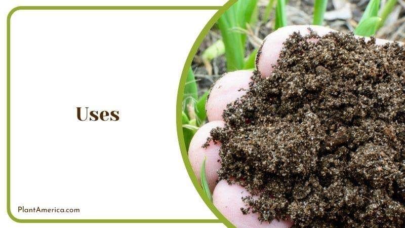 Uses of Mushroom Compost Plant America