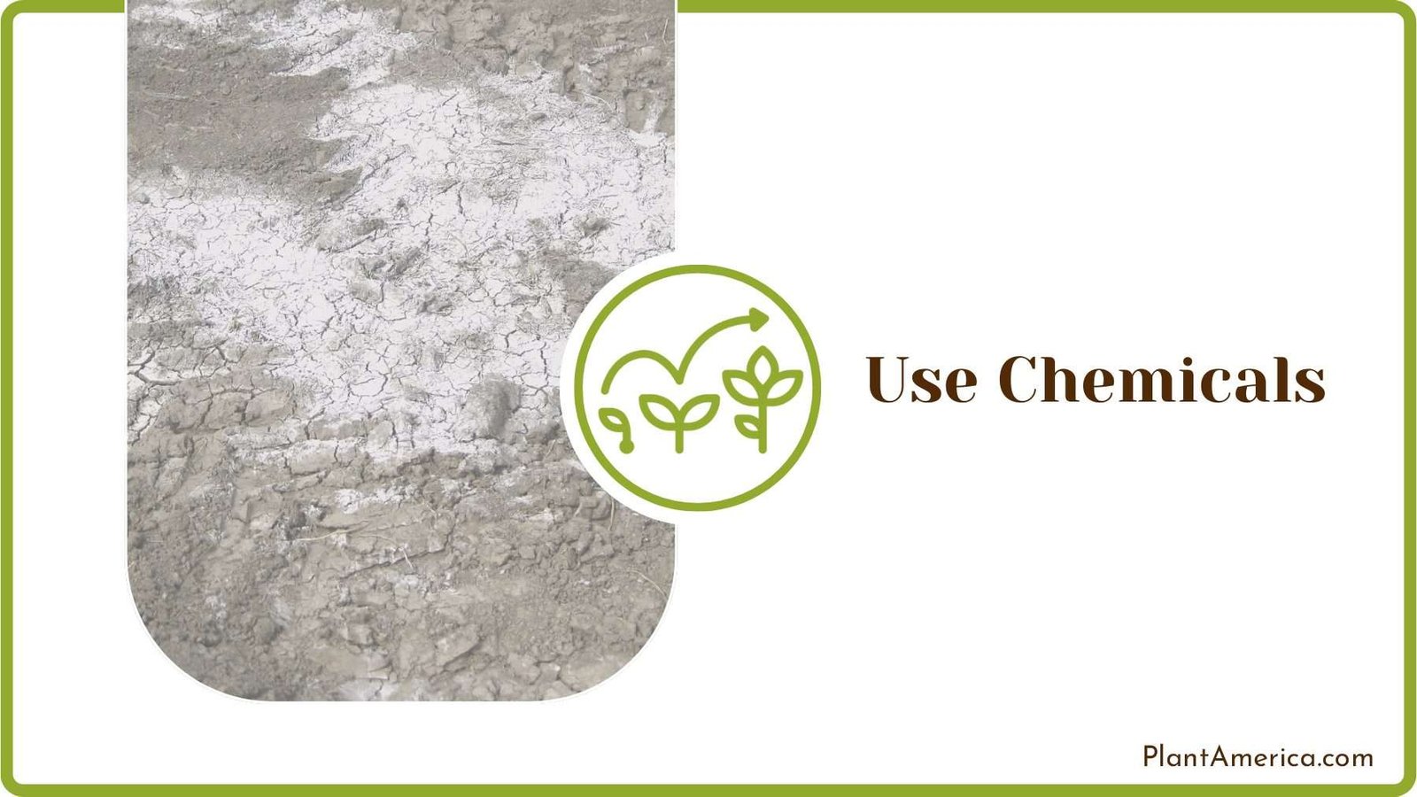 Using Chemicals on Ground Plant America