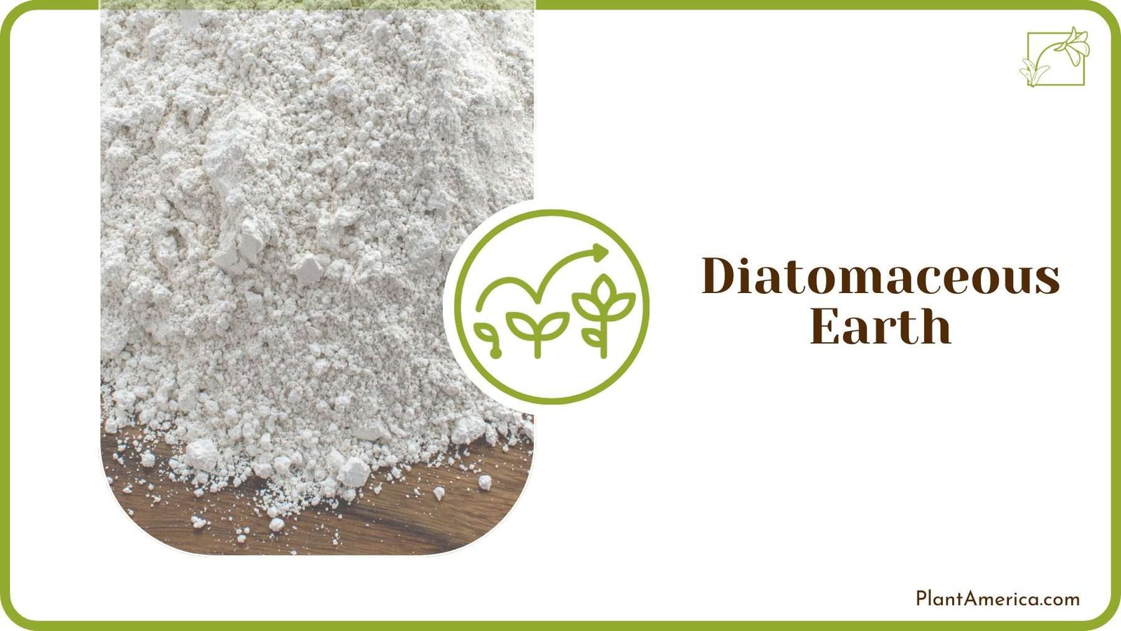 Using Diatomaceous Earth PlantAmerica