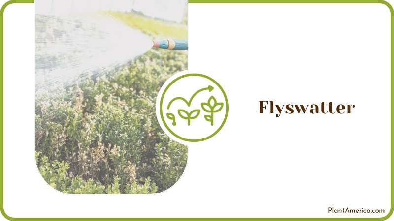 Using Flyswatter on Plants Plant America