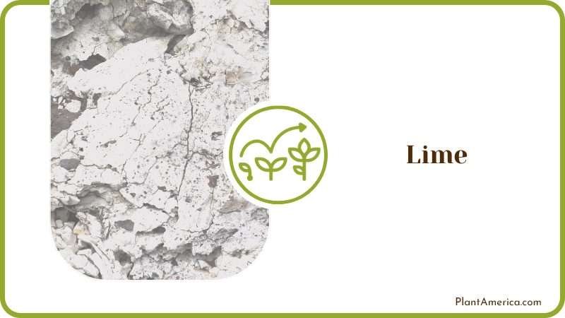 Using Lime on the Soil Using Lime on the Soil