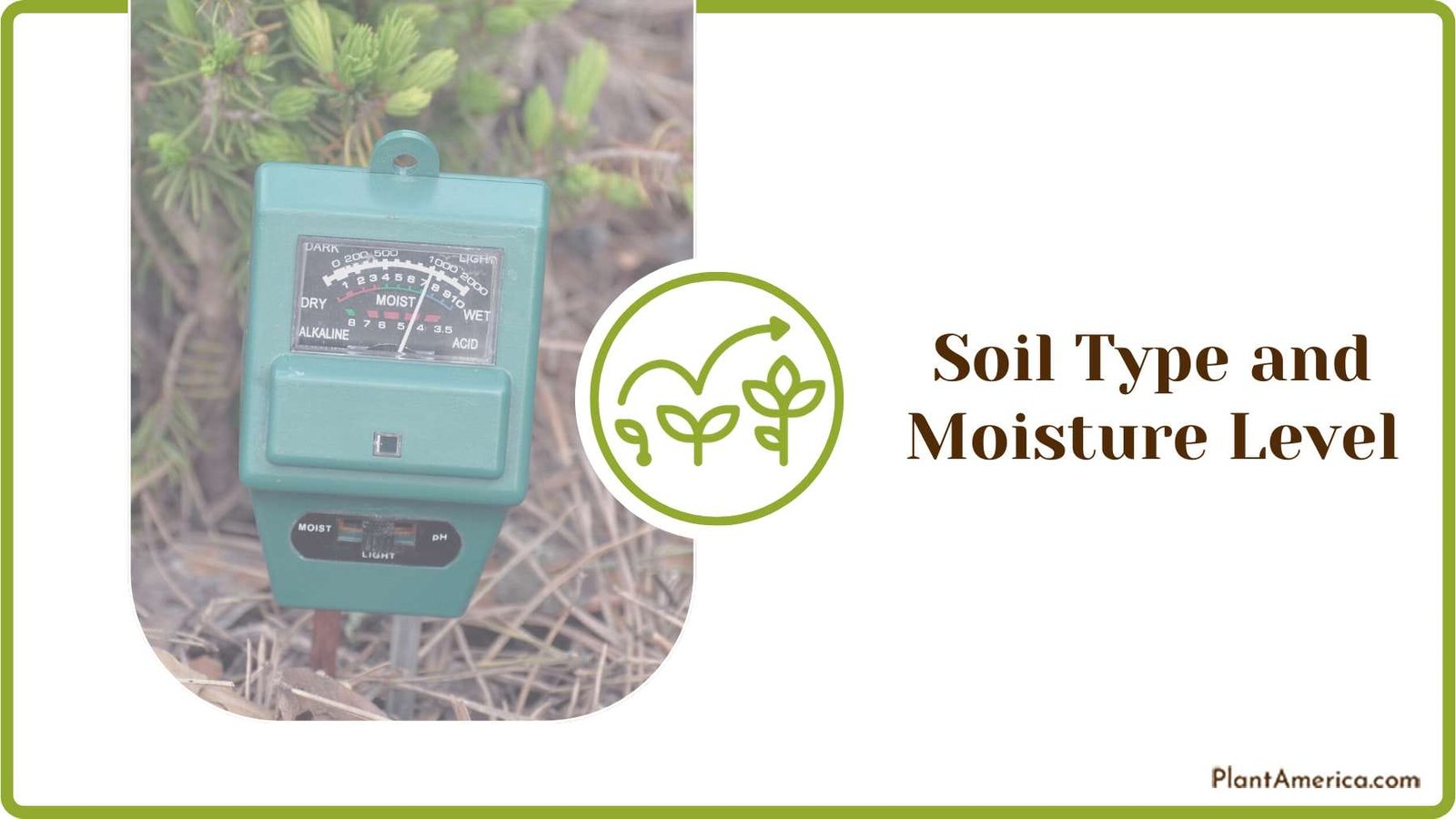Using a Pothos Moisture Level Meter Plant America