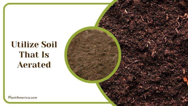 Utilize Soil That Is Aerated Plant America