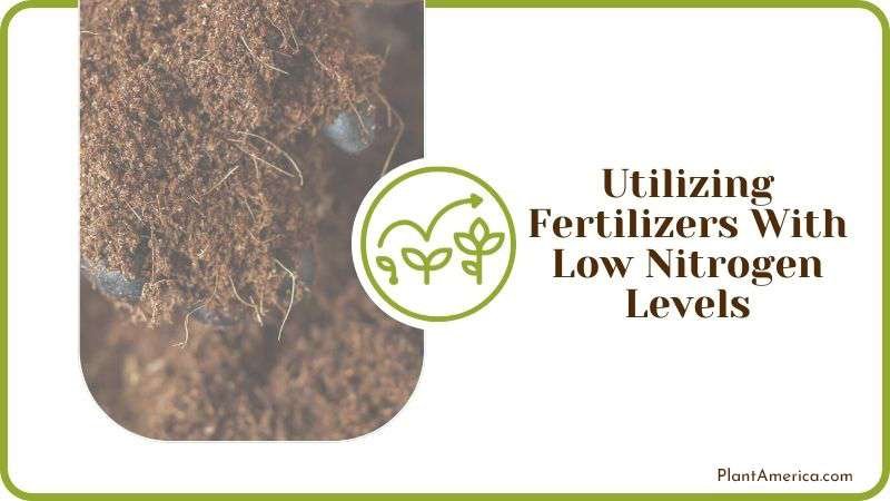 Utilizing Fertilizers With Low Nitrogen Levels Plant America Utilizing Fertilizers With Low Nitrogen Levels Plant America