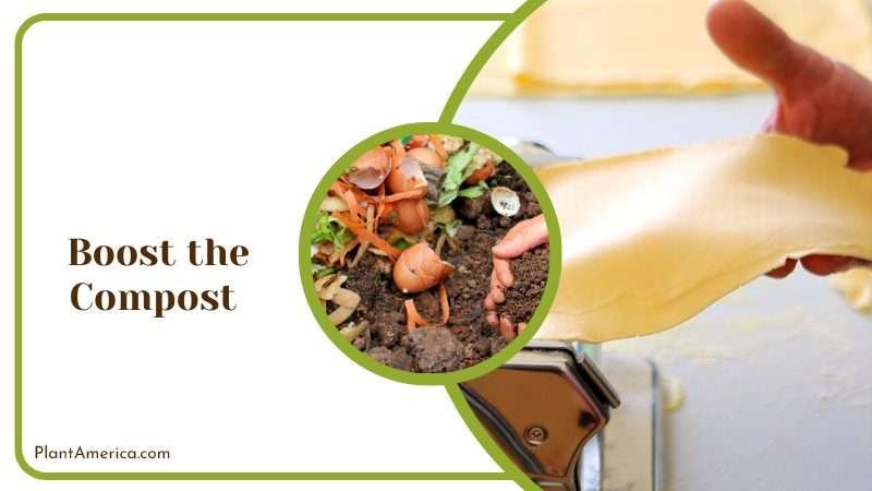 Utilizing Pasta Water in Composting Plant America