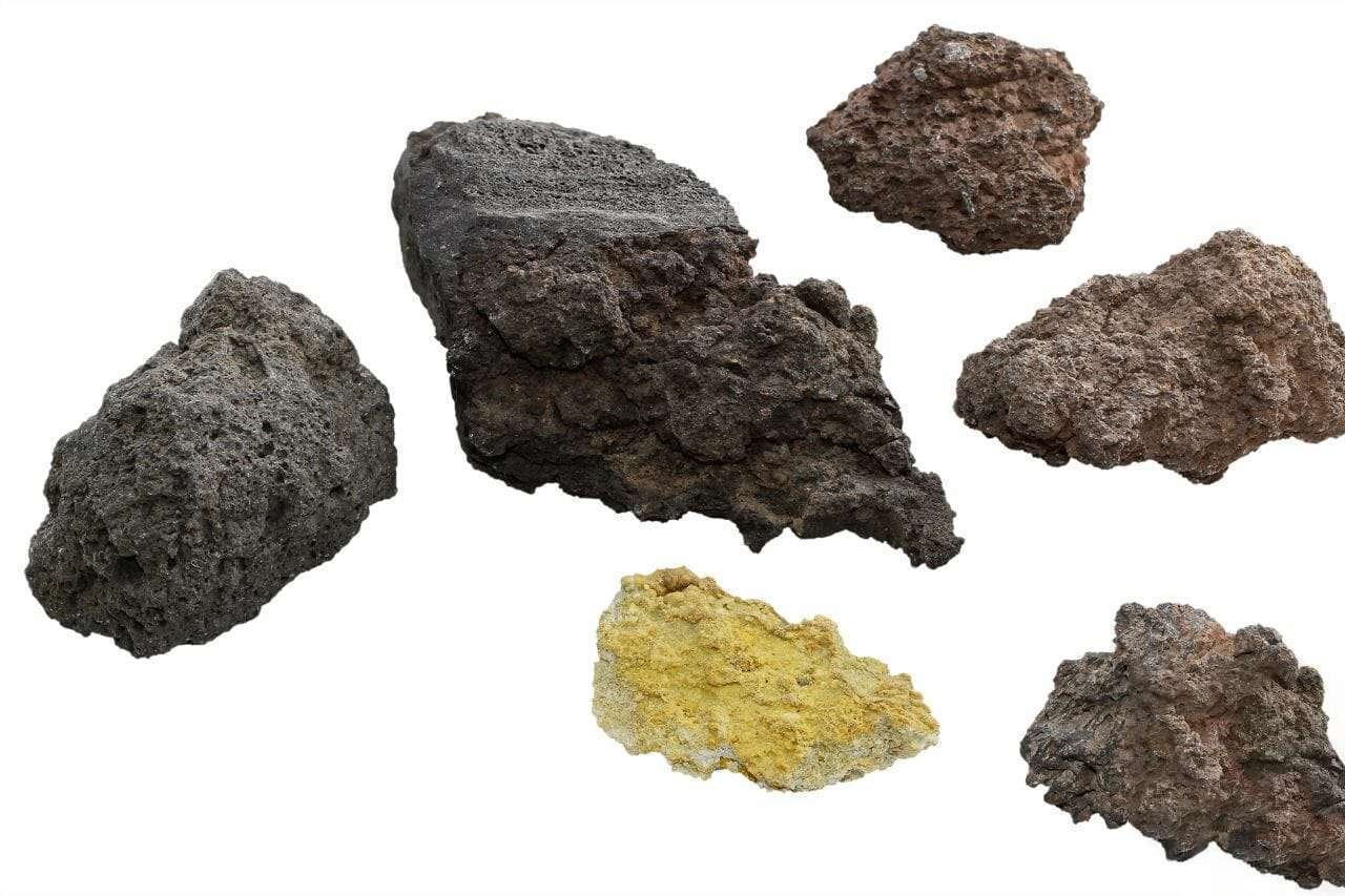 Volcanic Rocks Plant America