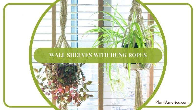 Wall Shelves with Hung Ropes Plant America