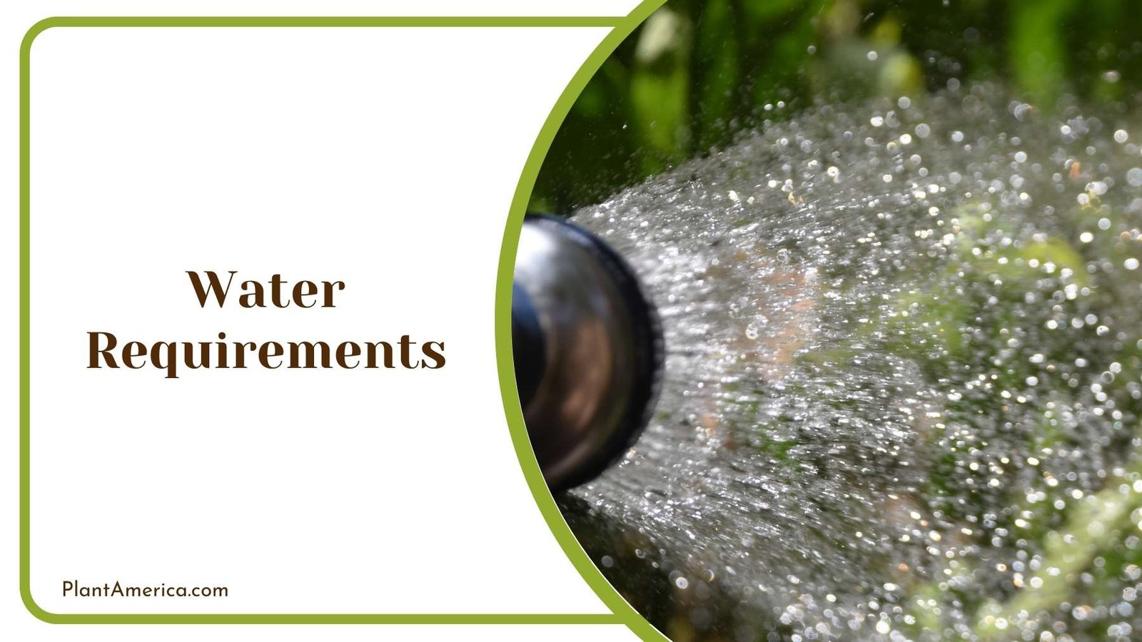 Water Coming Out of Nozzle Plant America 1