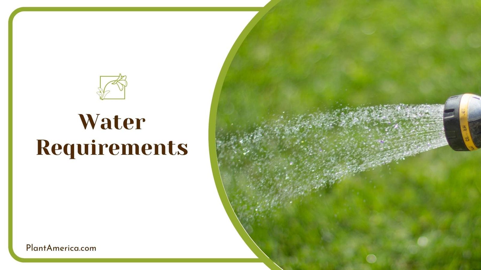 Water Coming Out of Nozzle ~ Plant America