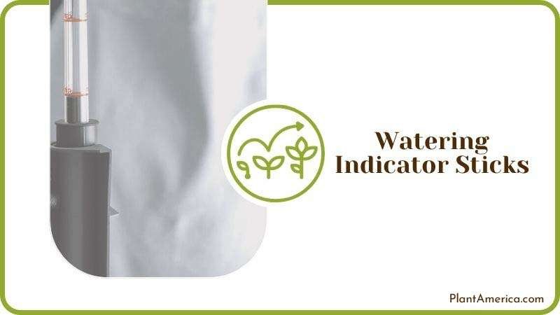 Watering Indicator Sticks Plant America