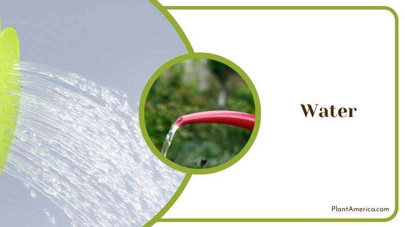 Muhamed Focus on details Image Water