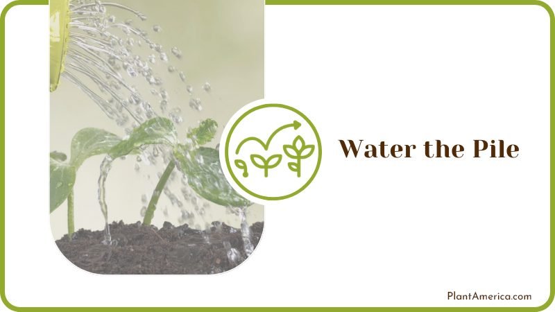 Watering Pile With Milk Plant America