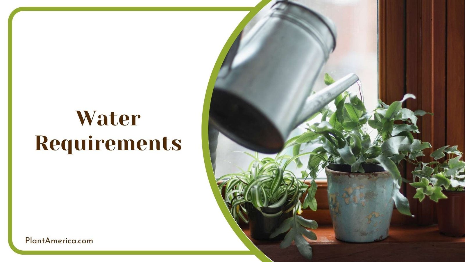 Watering Plants With Metal Container Plant America