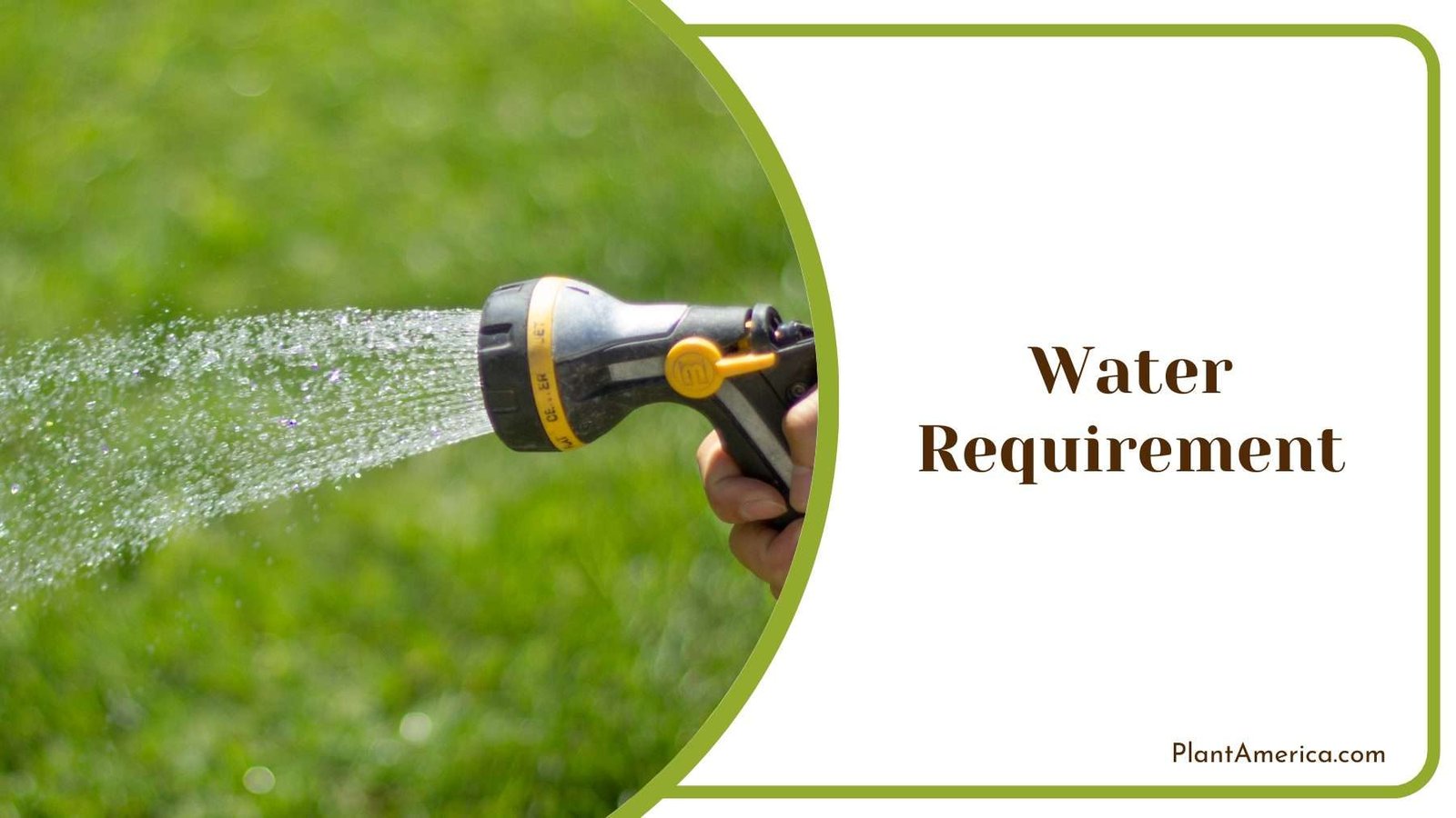 Watering The Land With Nozzle Plant America