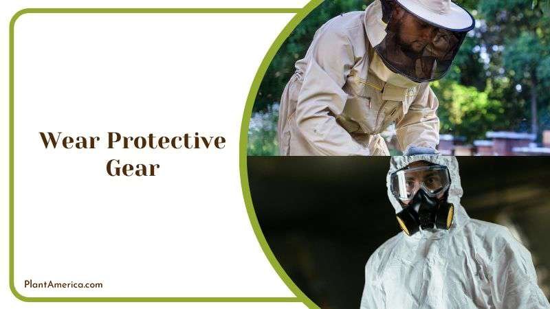 Wear Protective Gear Plant America