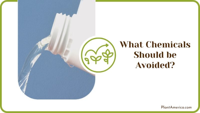 What Chemicals Should be Avoided Plant America