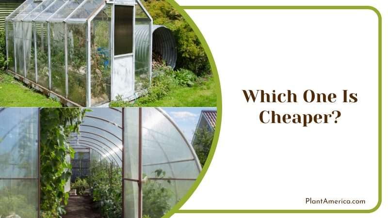 Which One Is Cheaper Plant America Which One Is Cheaper Plant America
