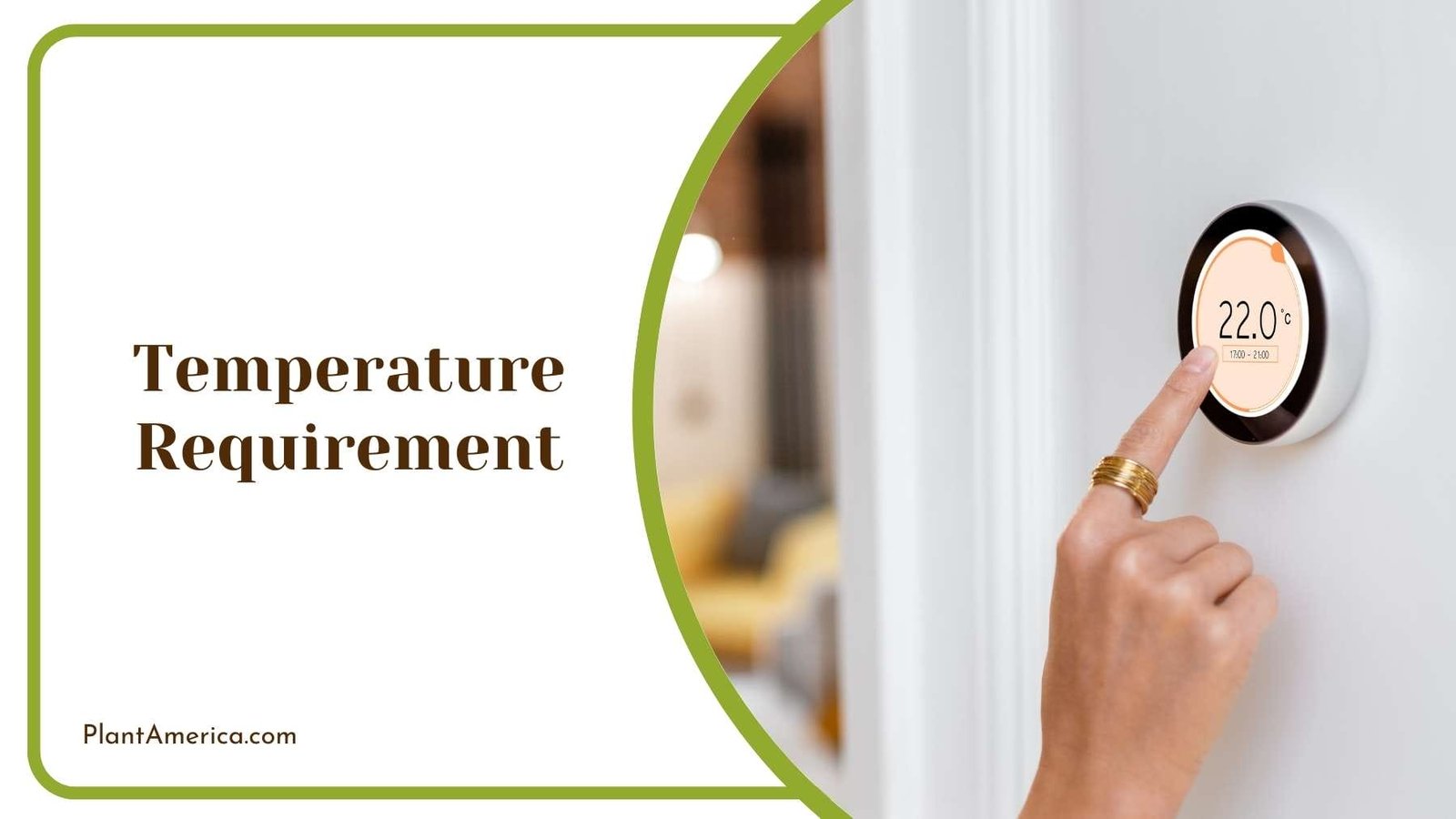 Woman Setting The Temperature Of Room Plant America