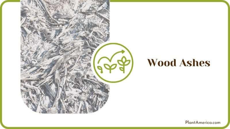 Wood Ashes for Plants Wood Ashes for Plants