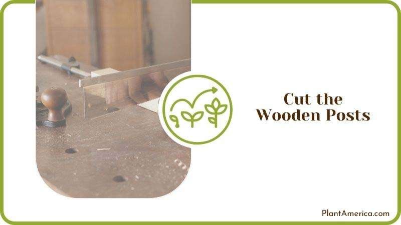Wooden Posts Shade for Plants Plant America