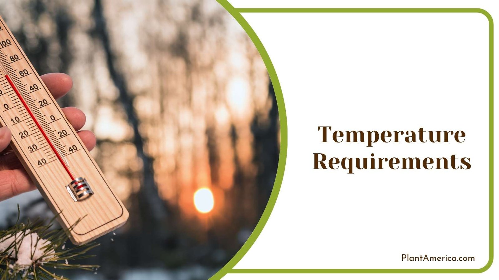 Wooden Thermometer In Hand Of a Person Plant America