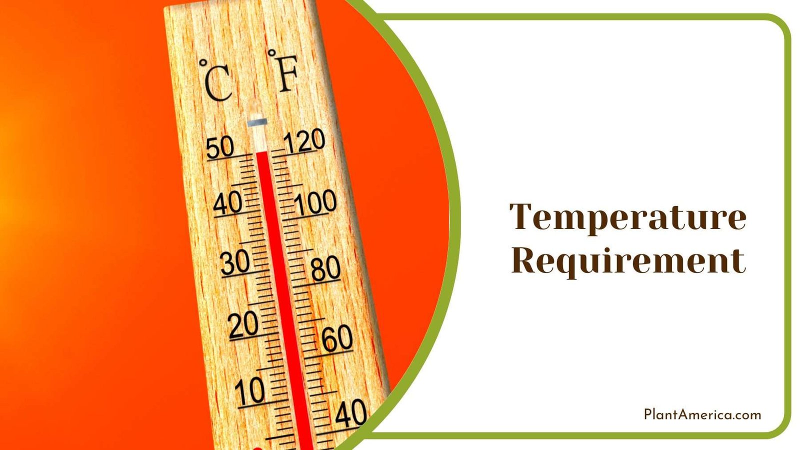 Wooden Thermometer On an Orange Background Plant America