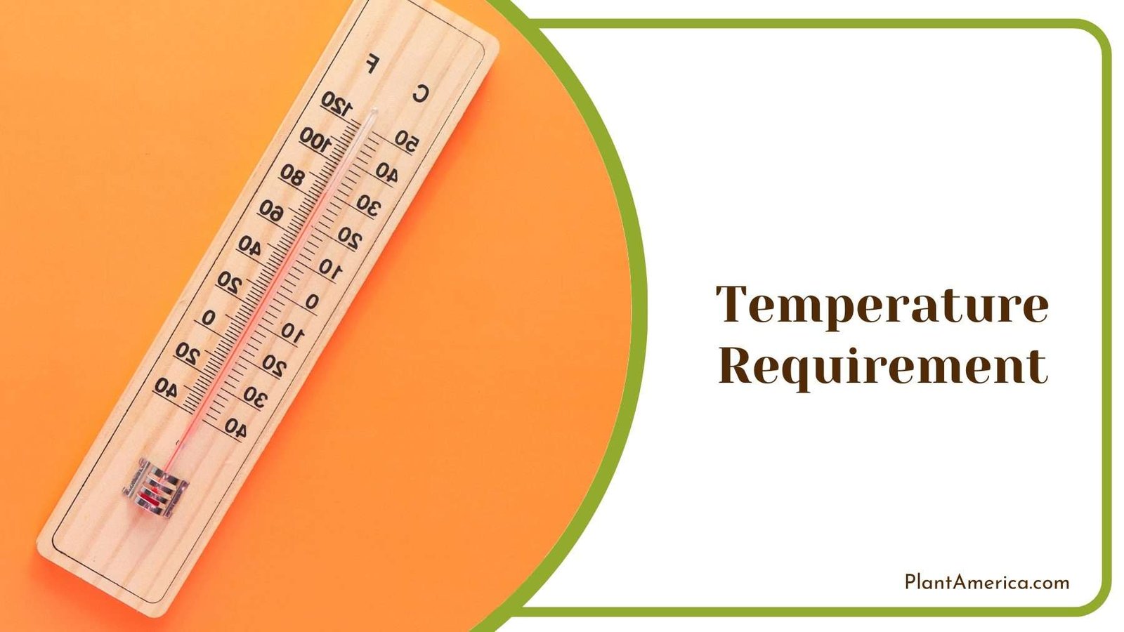 Wooden Thermometer On an Orange Wall Plant America