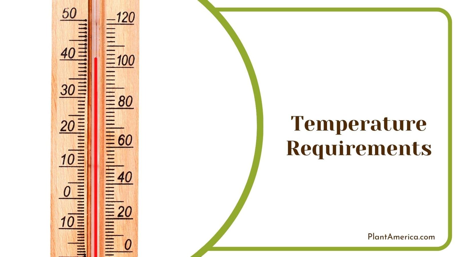 Wooden Thermometer Plant America 1