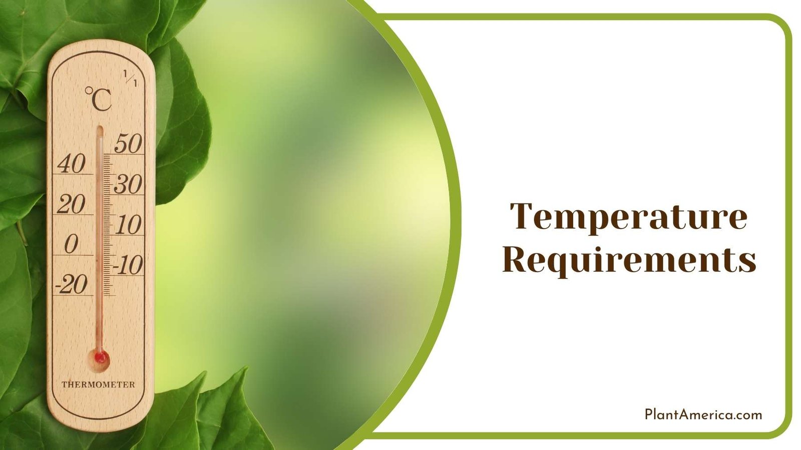 Wooden Thermometer Plant America