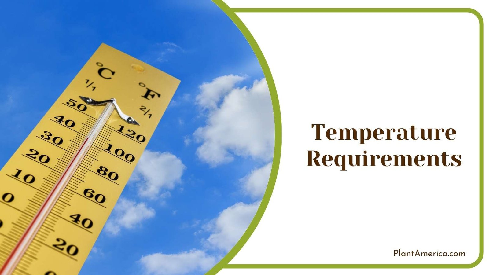 Wooden Thermometer Rise To Sky Plant America