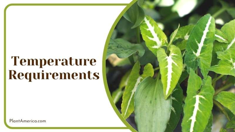 adapt to the average temperature Plant America