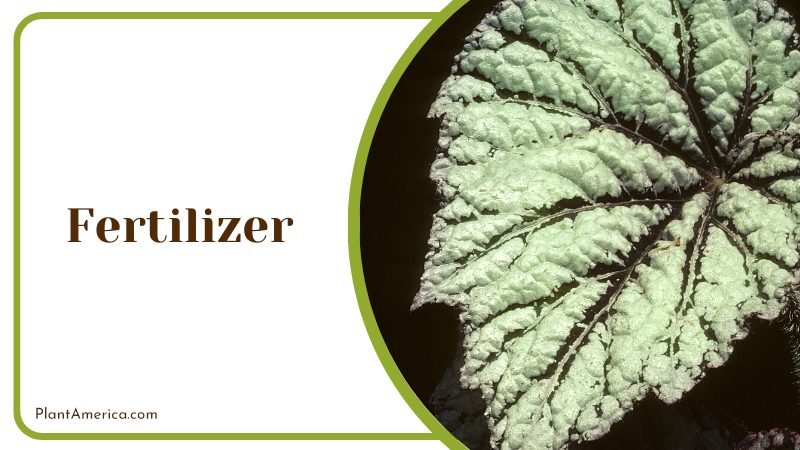 organic and chemical fertilizers ~ PlantAmerica