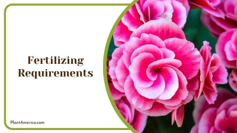 well balanced commercial fertilizer ~ PlantAmerica