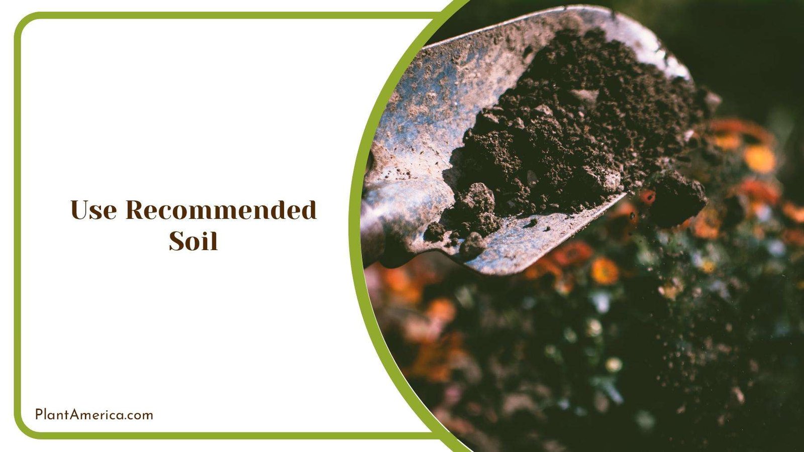 A Shovel of Good Quality Soil Plant America