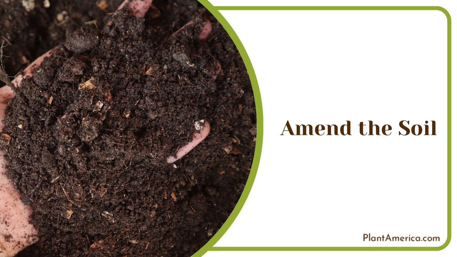 Amending the Soil Plant America