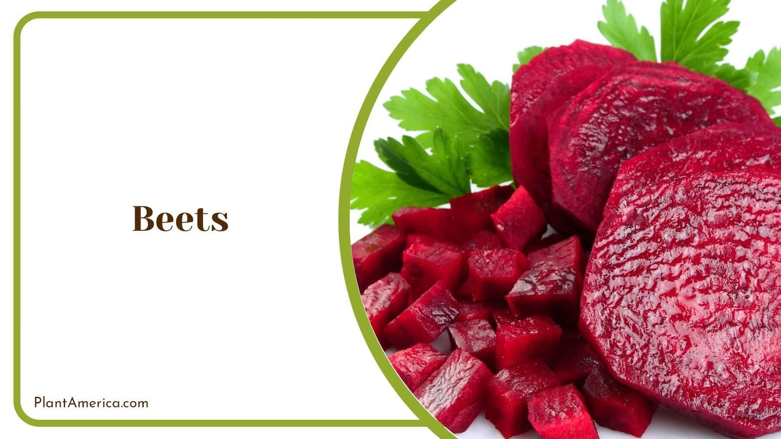 Chopped Red Beets Plant America